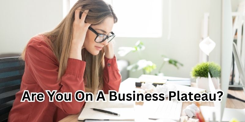 Are you on a business plateau and what is CRM resolve it?