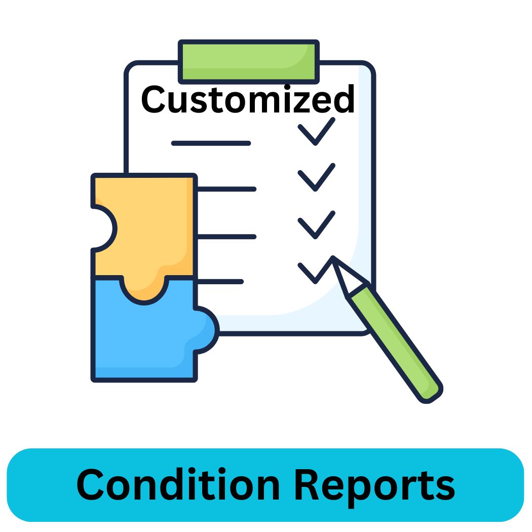 Customizable Condition Report Built In to Selling Lane Auction App