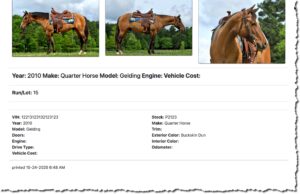 printable flyers for auction