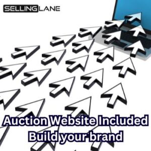 Auction Website
