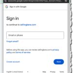 Logging into Selling Lane Auction Software with Google