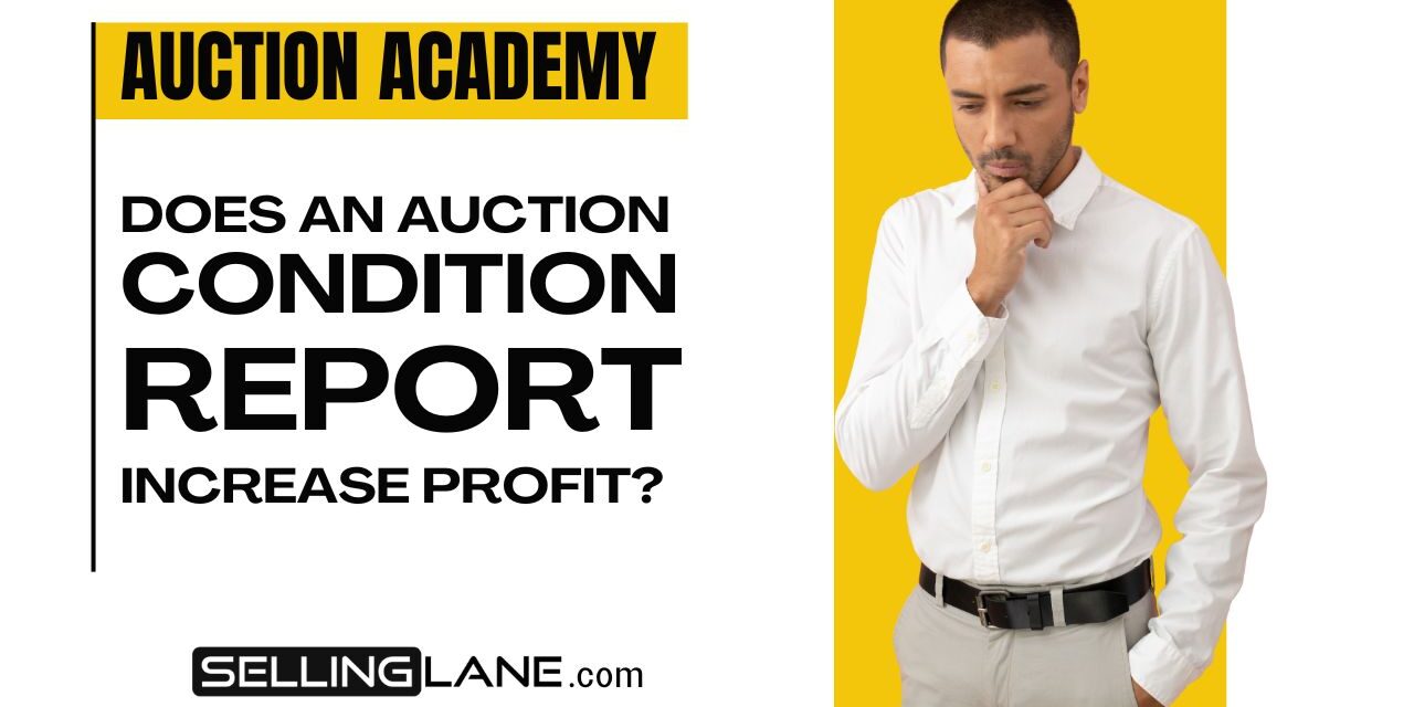 Does a Dondition Report Increase ASP Question does a condition report actually improve profit on an auction?